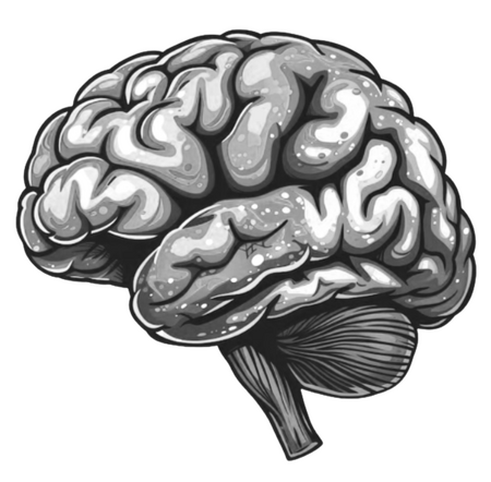 Brain
